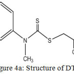 Figure 4a: Structure of DTC.