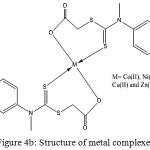 Figure 4b: Structure of metal complexes.