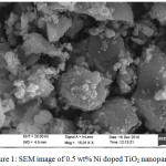Figure 1: SEM image of 0.5 wt% Ni doped TiO2 nanoparticles.