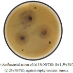 Figure 9: Antibacterial action of (a) 1% Ni/TiO2 (b) 1.5% Ni/TiO2 and (c) 2% Ni/TiO2 against staphylococcus aureus.