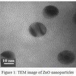 Figure 1: TEM image of ZnO nanoparticles.