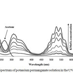 Figure 1: Spectrum of potassium permanganate solution in the UV-Visible region.
