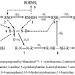 Figure 1: Mechanism proposed by Shmonina6-10: 1 - nitrobenzene; 2-nitrosobenzene; 3-phenylhydroxylamine; 4-aniline; 5-cyclohexylamine; 6-azoxybenzene; 7-azobenzene; 8-hydrazobenzene; 9-4-aminophenol; 10-4-hydroxyazobenzene; 11-benzidine.