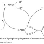 Figure 10: Mechanism of liquid-phase hydrogenation of aromatic nitrocompounds on palladium-containing polymers.