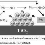 Figure 6: A new mechanism of aromatic nitro compounds hydrogenation over Au/TiO2 catalyst.