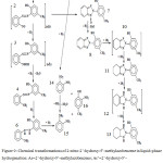 Figure 9: Chemical transformations of 2-nitro-2’-hydroxy-5’-methylazobenzene in liquid-phase hydrogenation: