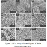 Figure 2: SEM image of mixed ligand PCPs in various molar fraction.