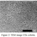 Figure 2: TEM image CDs colistin.