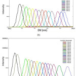 Figure 5: Spectra fluoresence for CDs 1 mmol (a), CDs 1,5 mmol (b) CDs 2 mmol (c) CDs 2,5 mmol (d).