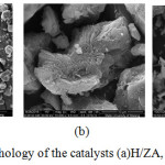 Figure 3: The morphology of the catalysts (a)H/ZA, (b), Zr/ZA(c)H/ZY.