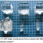 Figure 11: KDP single crystals grown from a solution with different molybdenum content.20