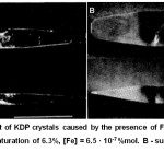 Figure 4: Pinching out of KDP crystals caused by the presence of Fe impurity in solution.8 A - supersaturation of 6.3%, [Fe] = 6.5 · 10-7 %mol. B - supersaturation of 13%, [Fe] = 3·10-6 % mol.