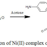 Scheme 2: Schematic representation of Ni(II) complex of Sulfanilamide. [Ni(SA)2(NO3)2].