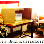 Figure 3: Bench scale reactor setup.