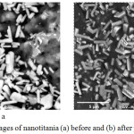 Figure 3: SEM images of nanotitania (a) before and (b) after photocatalysis. 
