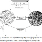 Figure 5: (a) Illustration and (b) SEM image depicting geopolymer microstructure and the interactions present in a TiO2-deposited geopolymer sphere.