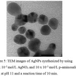 Figure 5: TEM images of AgNPs synthesized by using 0.3 x 10-3 mol/L AgNO3 and 10 x 10-3 mol/L p-aminosalicylic acid at pH 11 and a reaction time of 10 min.