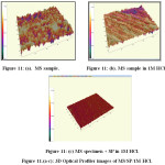 Figure 11.(a-c): 3D Optical Profiler images of MS/SP/1M HCl.