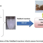 Figure 3: Illustration of the Maillard reaction which causes browning of palm sugar.