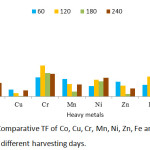 Figure 10: Comparative TF of Co, Cu, Cr, Mn, Ni, Zn, Fe and Pb in P. fruticose at different harvesting days.