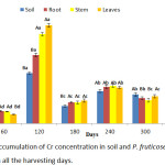 Figure 2: Accumulation of Cr concentration in soil and P. fruticose root, stem and leaf on all the harvesting days.
