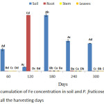 Figure 4: Accumulation of Fe concentration in soil and P. fruticose root, stem and leaf on all the harvesting days.