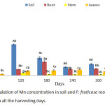 Figure 5: Accumulation of Mn concentration in soil and P. fruticose root, stem and leaf on all the harvesting days.