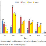 Figure 8: Accumulation of Zn concentration in soil and P. fruticose root, stem and leaf on all the harvesting days.