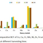 Figure 9: Comparative BCF of Co, Cu, Cr, Mn, Ni, Zn, Fe and Pb in P. fruticose at different harvesting time.