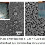 Figure 2: FE-SEM of CISe electrodeposited at -0.65 V/SCE in citrate bath with (a) and without (b) pre-treatment and their corresponding photographic images (inset).78