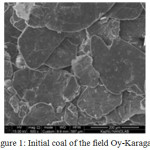 Figure 1: Initial coal of the field Oy-Karagay.