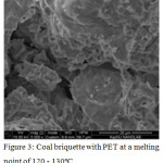 Figure 3: Coal briquette with PET at a melting point of 120 - 130ºС.