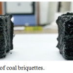 Figure 5: Appearance of coal briquettes.