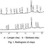 Figure 1: X-ray pattern of the clays.