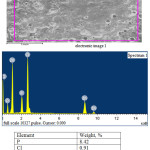 Figure 2: Electronic image of the obtained zinc phosphate and its chemical composition.