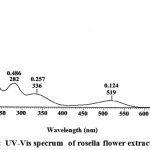 Figure 1: UV-Vis specrum  of rosella flower extract.