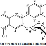Figure 2: Structure of sianidin-3-glucoside (13).