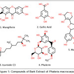 Figure 1: Compounds of Bark Extract of Phaleria macrocarpa.