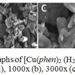Figure 5: SEM-photographs of [Cu(phen)2 (H2O)2](CF3COO)2.2H2O at magnification of 100x (a), 1000x (b), 3000x (c) and 10,000x (d).