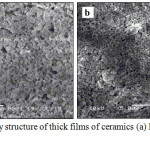 Figure 2: Morphology structure of thick films of ceramics (a) LaFeO3 and (b) Al2O3-doped LaFeO3.