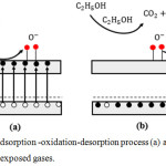 Figure 6: Adsorption -oxidation-desorption process (a) ambient and (b) ethanol exposed gases.
