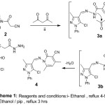 Scheme 1: Reagents and conditions: i- Ethanol, reflux 4-5 hrs ii-Ethanol/pip, reflux 3 hrs.