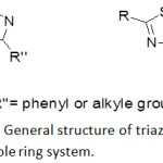 Figure 1: General structure of triazole and thiadiazole ring system.