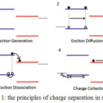 Figure 1: the principles of charge separation in solar cell.4