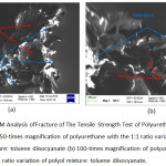 Figure 8: SEM Analysis ofFracture of The Tensile Strength Test of Polyurethane Product (a) 50-times magnification of polyurethane with the 1:1 ratio variation of polyol mixture: toluene diisocyanate (b) 100-times magnification of polyurethane with the 1:1 ratio variation of polyol mixture: toluene diisocyanate.
