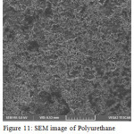 Figure 11: SEM image of Polyurethane before soil burial test.