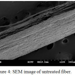 Figure 4: SEM image of untreated fiber.