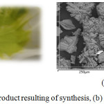 Figure 1: (a) Geen product resulting of synthesis, (b) Product morphology.