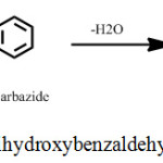Scheme 1: Synthesis scheme of  2,3,4-trihydroxybenzaldehyde-4-phenylthiosemicarbazone.