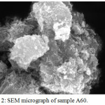 Figure 2: SEM micrograph of sample A60.
